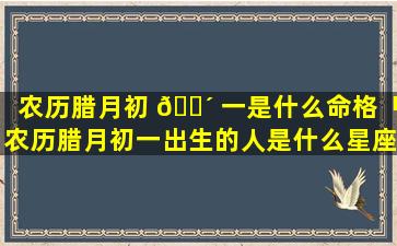 农历腊月初 🐴 一是什么命格「农历腊月初一出生的人是什么星座」